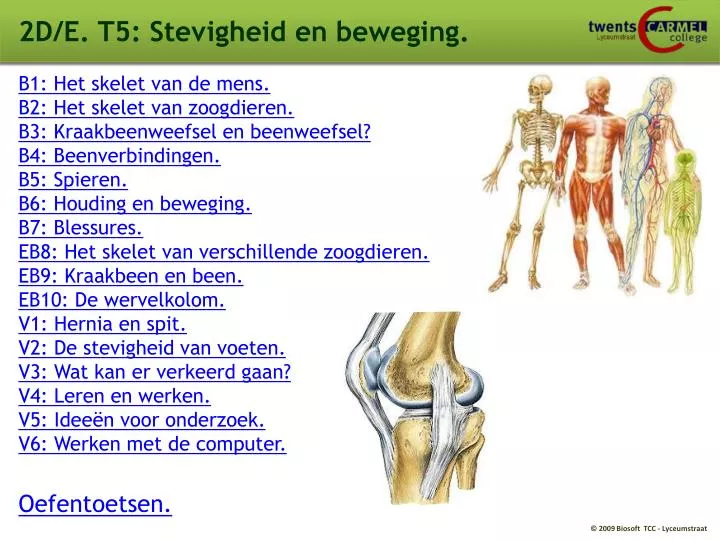 2d e t5 stevigheid en beweging