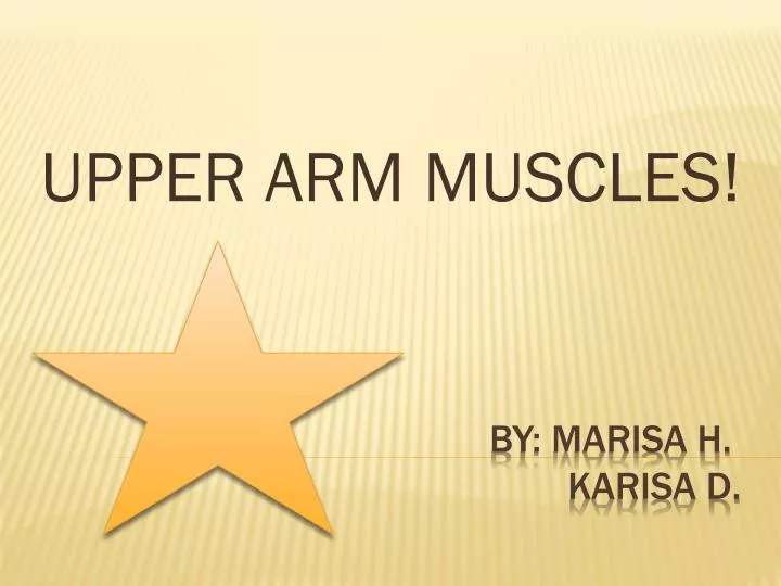upper arm muscles