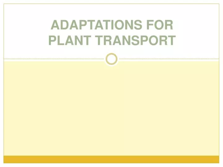 adaptations for plant transport