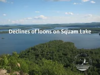 Declines of loons on Squam Lake