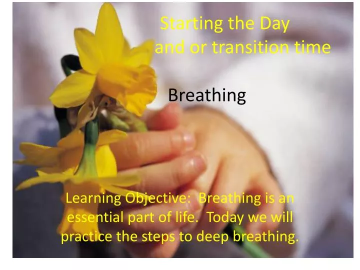 starting the day and or transition time breathing