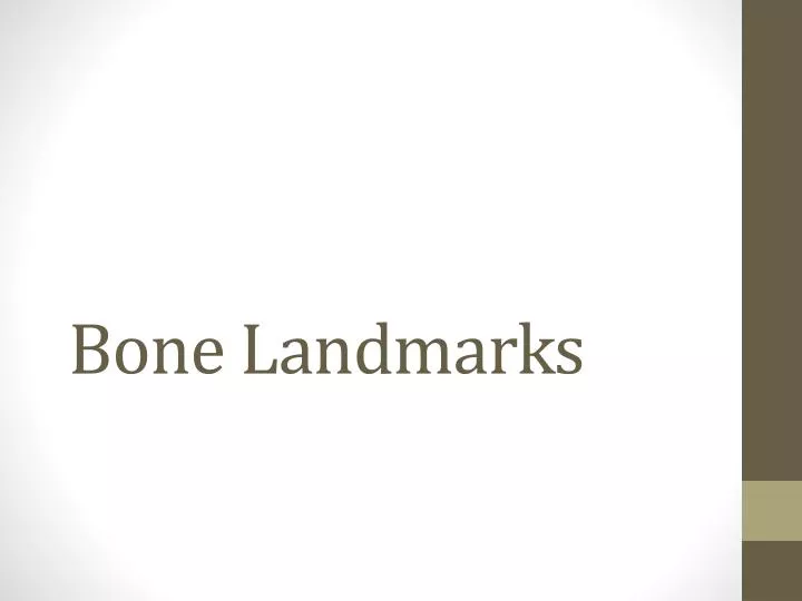 bone landmarks