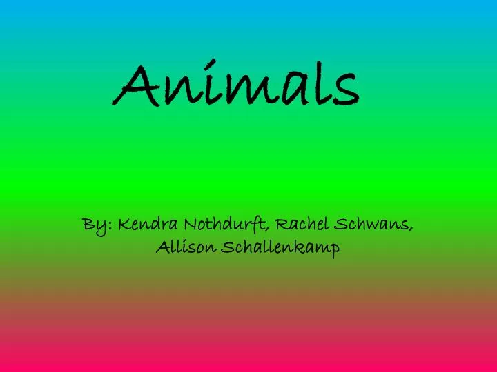 animals