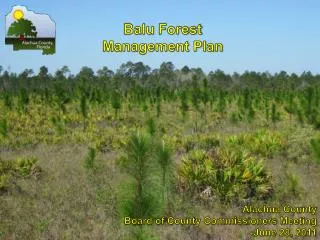 Balu Forest Management Plan