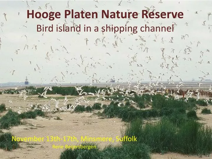 hooge platen nature reserve bird island in a shipping channel