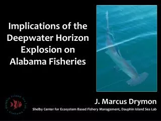 Implications of the Deepwater Horizon Explosion on Alabama Fisheries