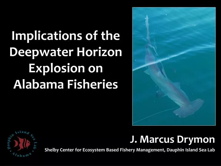 implications of the deepwater horizon explosion on alabama fisheries