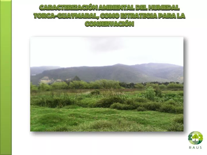 caracterizaci n ambiental del humedal torca guaymaral como estrategia para la conservaci n