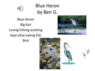 Blue Heron by Ben G.
