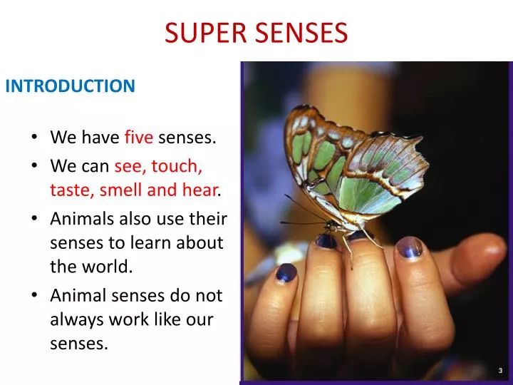 super senses