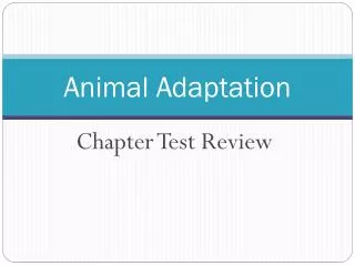 Animal Adaptation