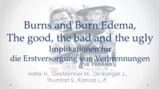 Haller H., Giretzlehner M., Dirnberger J., Thumfart S., Kamolz L.- P.