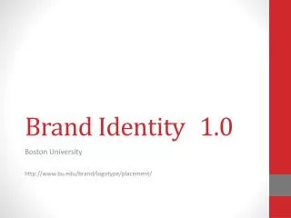 Brand Identity	1.0