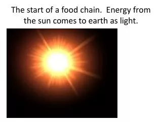 The start of a food chain. Energy from the sun comes to earth as light.