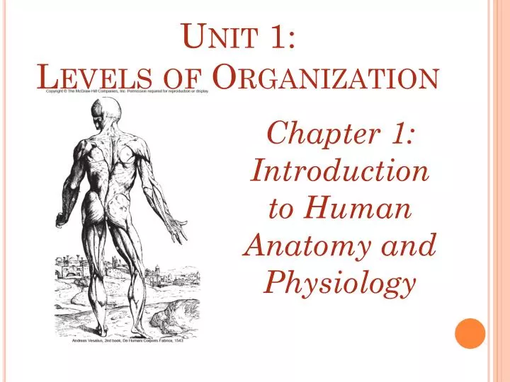 unit 1 levels of organization