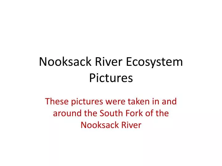nooksack river ecosystem pictures