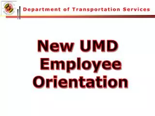 Department of Transportation Services