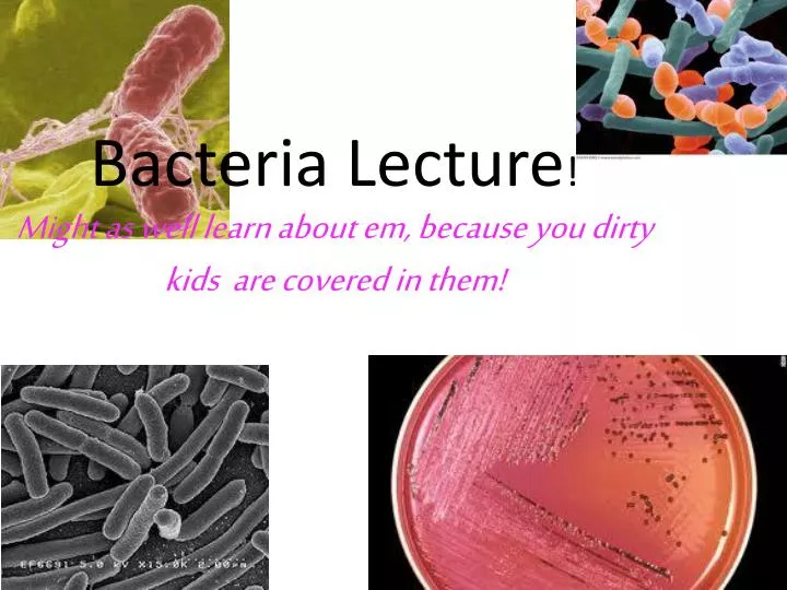 bacteria lecture might as well learn about em because you dirty kids are covered in them