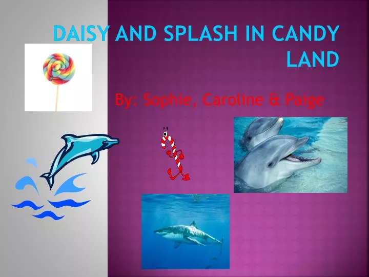 daisy and splash in candy land
