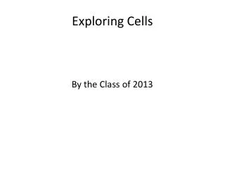 Exploring Cells