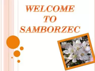 WELCOME TO SAMBORZEC