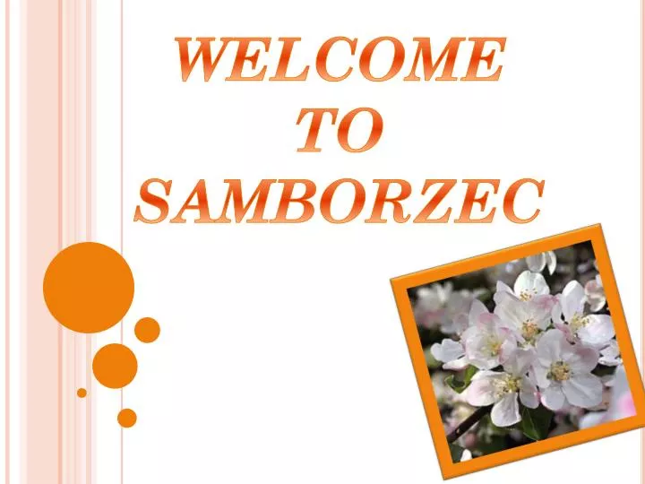 welcome to samborzec