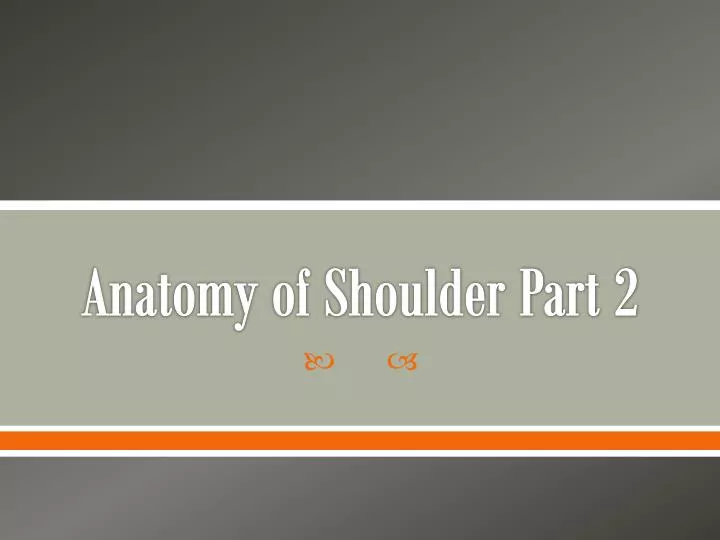 anatomy of shoulder part 2