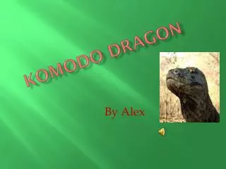 komodo dragon