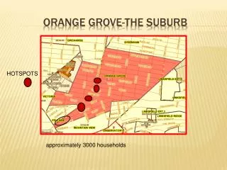 orange grove-THE SUBURB