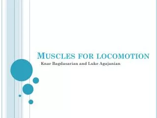 Muscles for locomotion