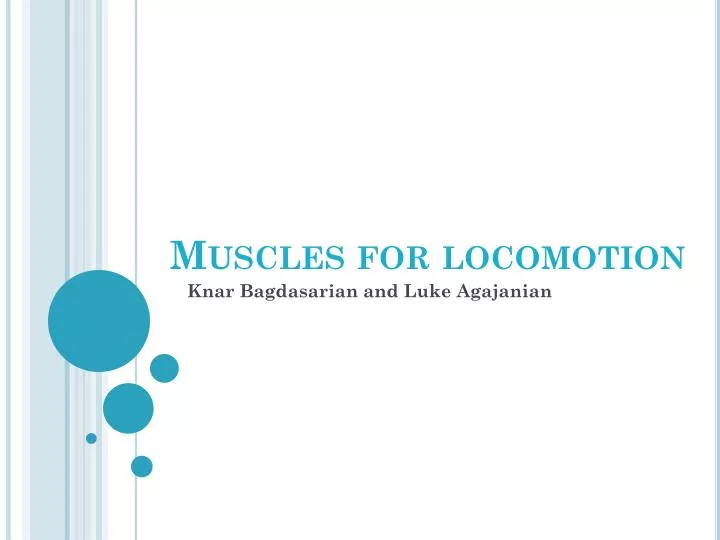 muscles for locomotion