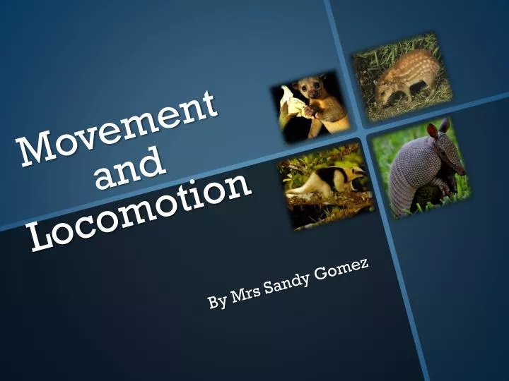 movement and locomotion