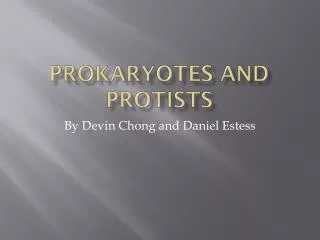 Prokaryotes and protists