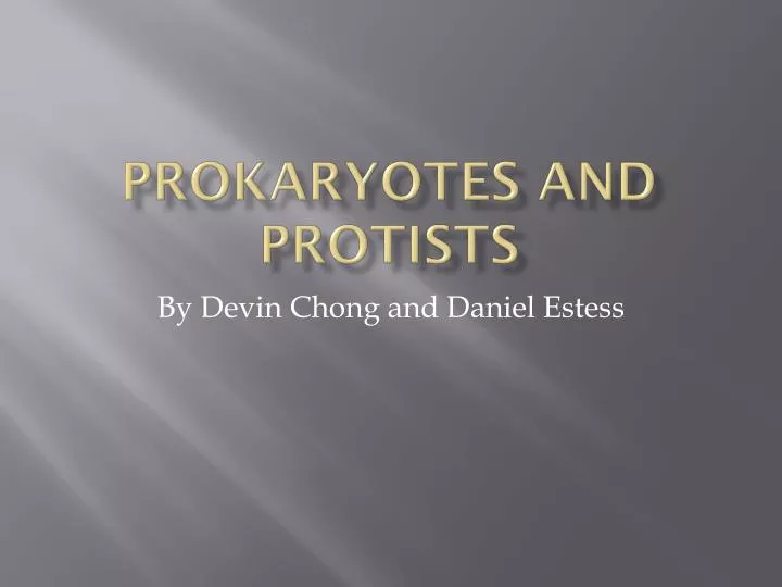 prokaryotes and protists
