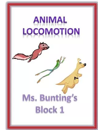 Animal Locomotion