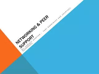 Networking &amp; Peer Support