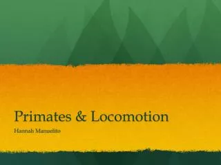 Primates &amp; Locomotion