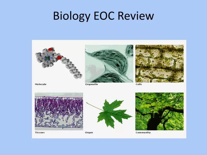 biology eoc review