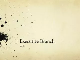executive branch