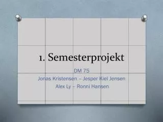 1 semesterprojekt