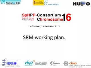 SRM working plan.