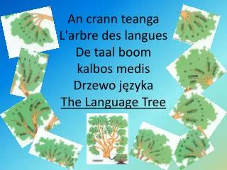 An crann teanga L'arbre des langues De taal boom kalbos medis Drzewo j?zyka The Language Tree