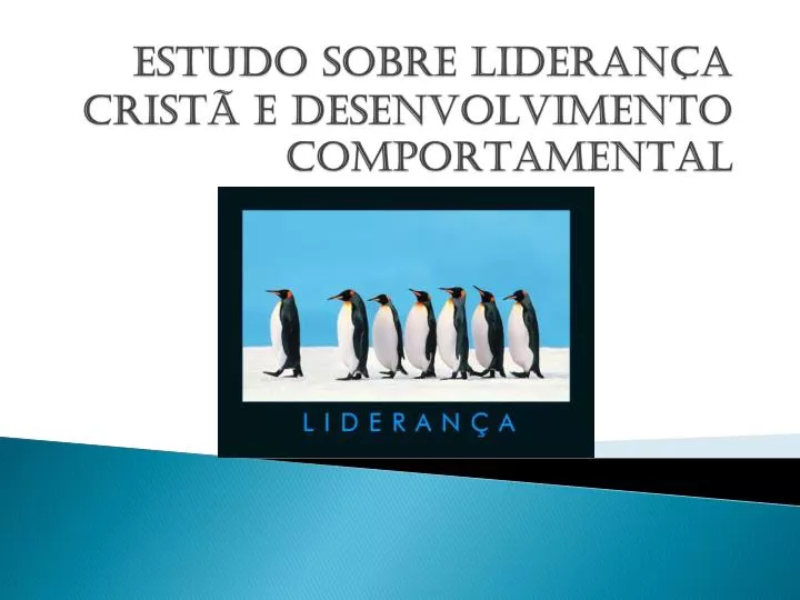 estudo sobre lideran a crist e desenvolvimento comportamental