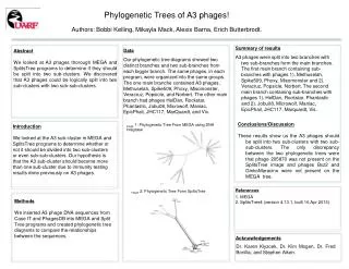 Phylogenetic Trees of A3 phages!