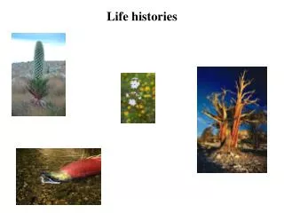 Life histories