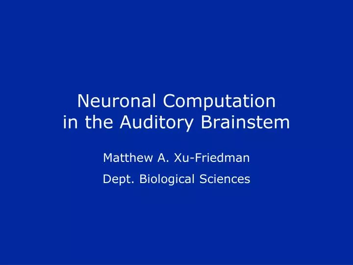 neuronal computation in the auditory brainstem