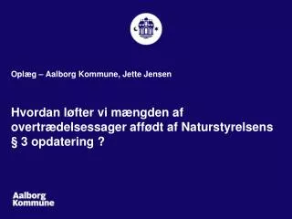 Oplæg – Aalborg Kommune, Jette Jensen