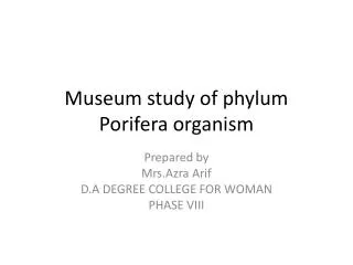 Museum study of phylum Porifera organism