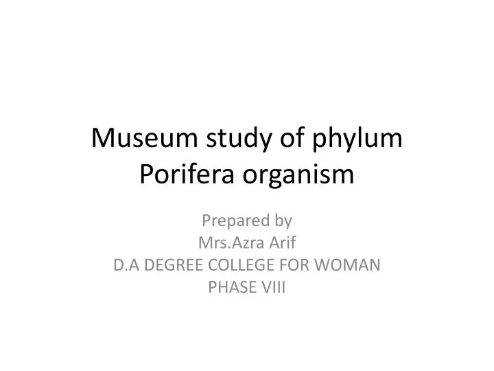museum study of phylum porifera organism