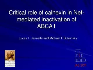 Critical role of calnexin in Nef-mediated inactivation of ABCA1
